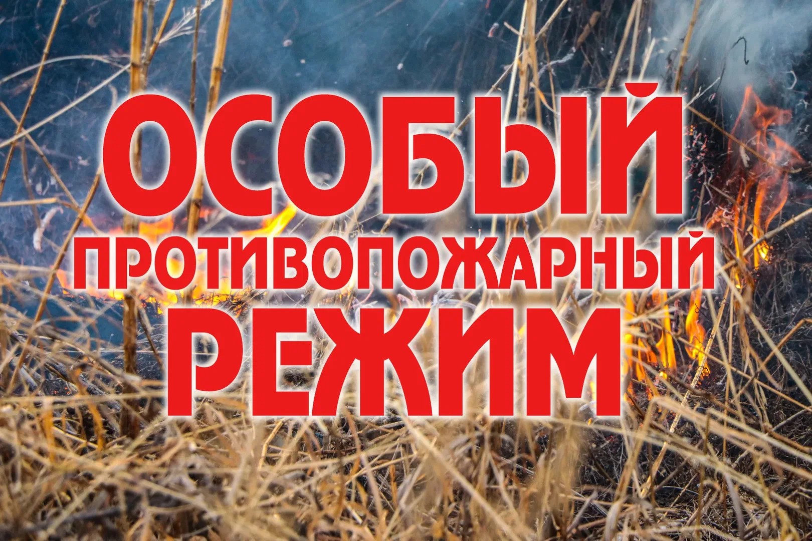 Введение особого противопожарного режима.